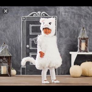 Pottery Barn kids Halloween costume. Size 7-8.